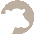Cattle