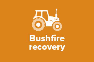 Bushfire recovery