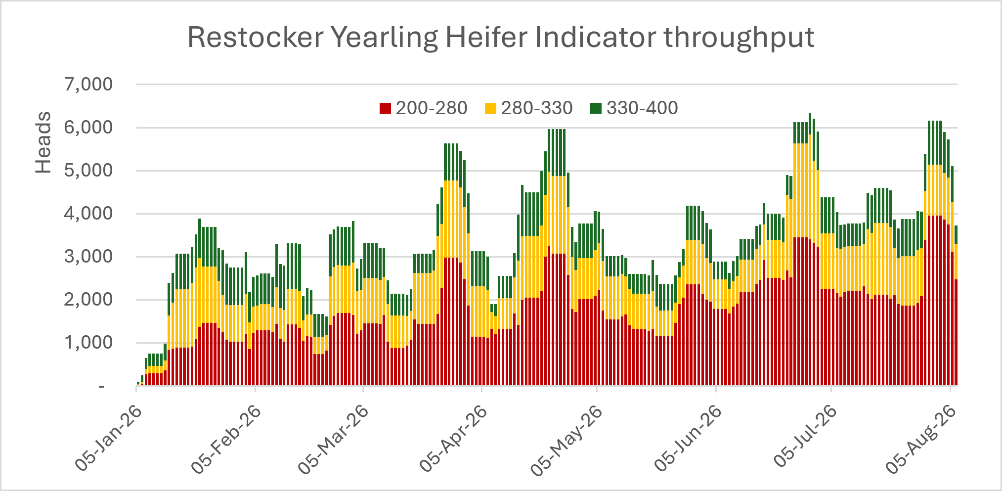 restocker yearling heifer indicator throughput