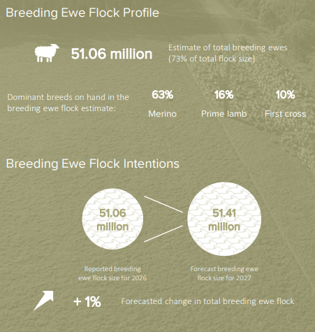 ewe flock profile