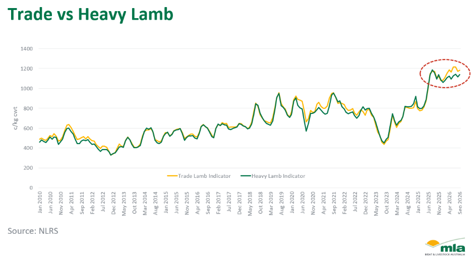Trade vs Heavy lamb graphic