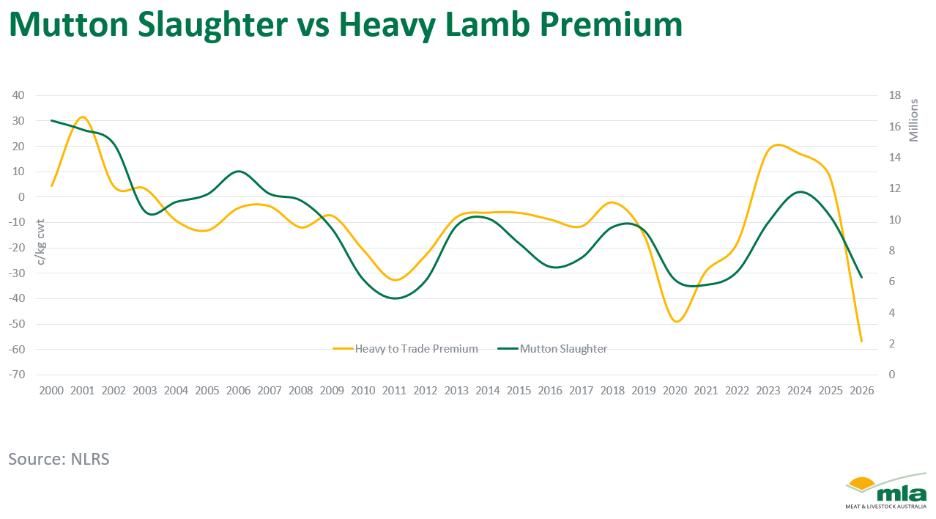 Mutton slaughter vs Heavy Lamb Premium graphic