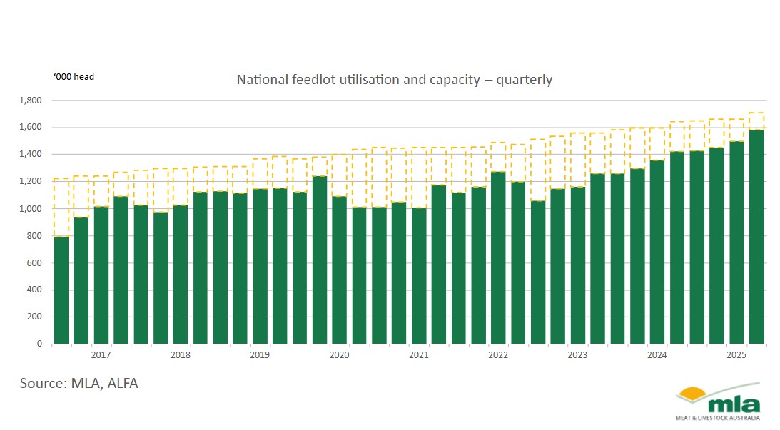 feedlot utilisation