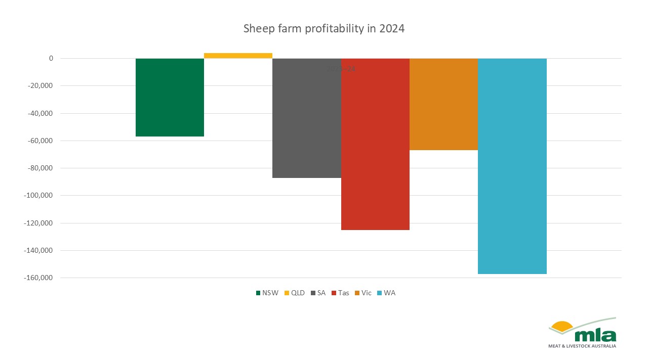 sheep farm profitability