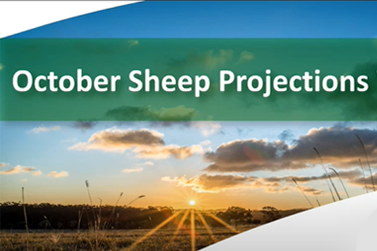 October 2021 Sheep Projections - Webinar 