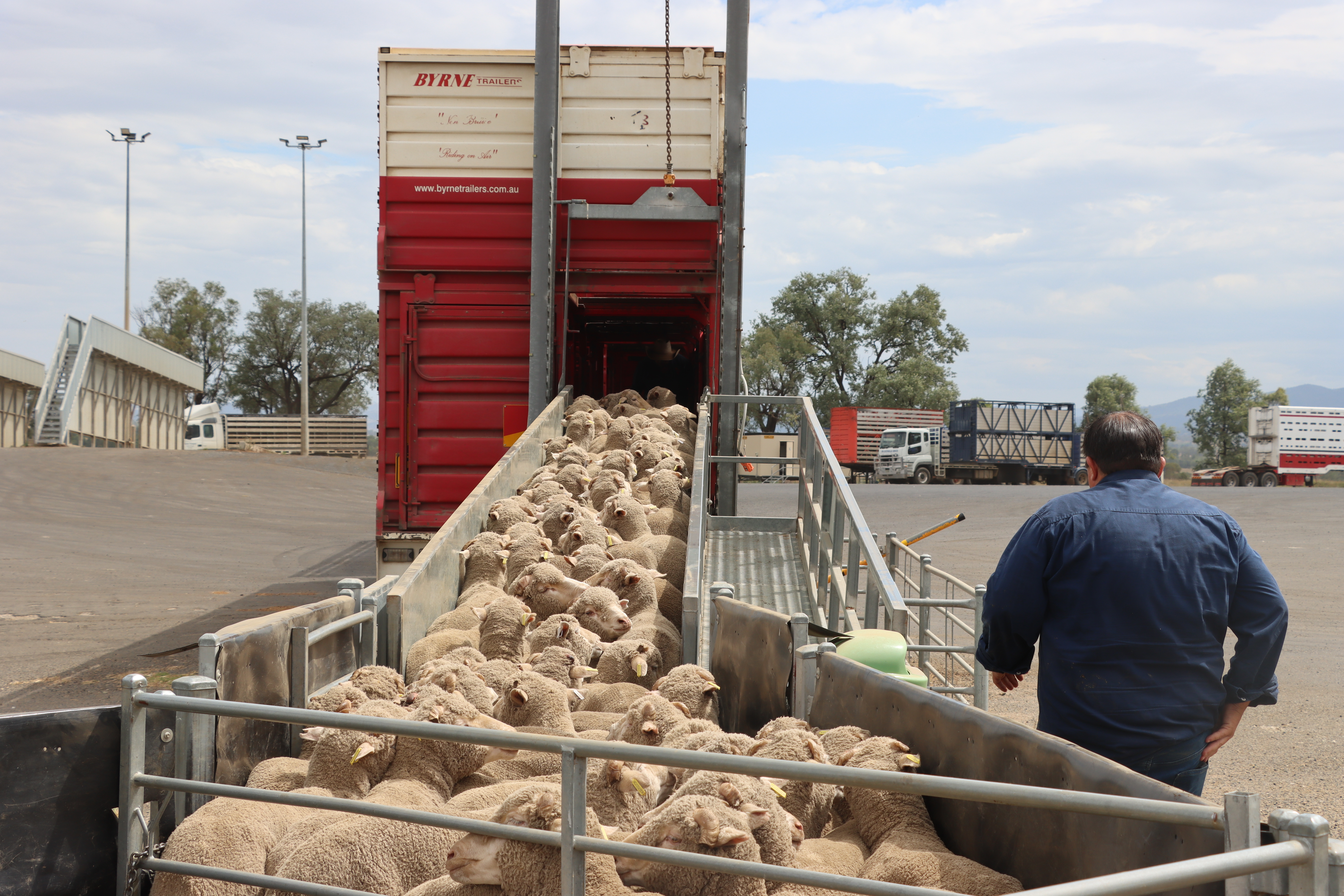 Step 4: Loading livestock