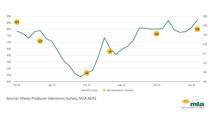 sheep producer intentions chart