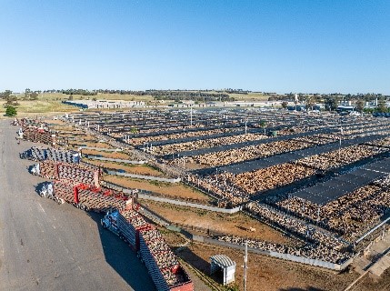 Transporting into saleyards