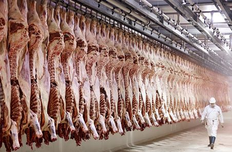 Quarterly Production and Slaughter Volumes