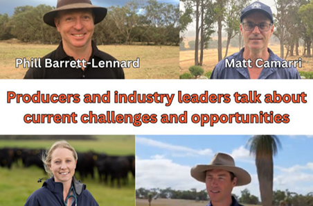 Panel discussion on the SMARTBeef project