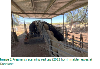 Group 1700045414, Grouped object