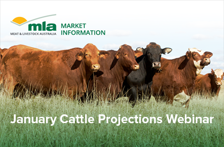 2023 Cattle Industry Projections webinar