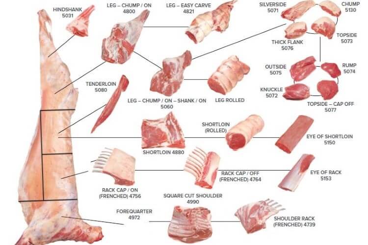 MSA Lamb Primal Cuts Poster