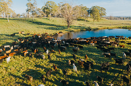 MLA unveils Top 10 Market Information Industry Trends for 2025