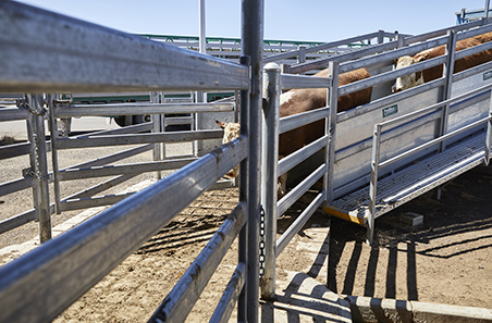 Step 6: Unloading and follow up