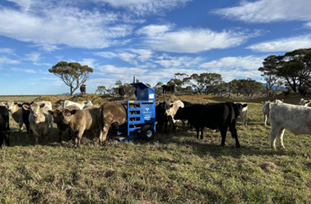 Optiweigh project proving economical for producers