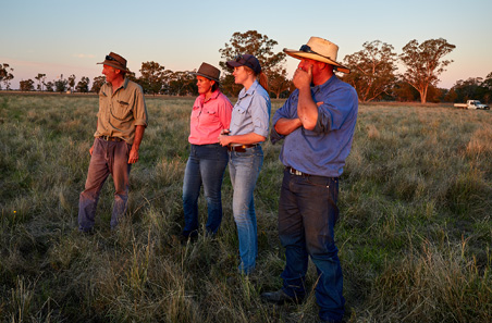 MLA Adoption Program delivers $81.6 million boost to producers