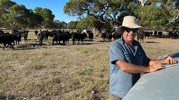 Taking a science-based approach to pastures
