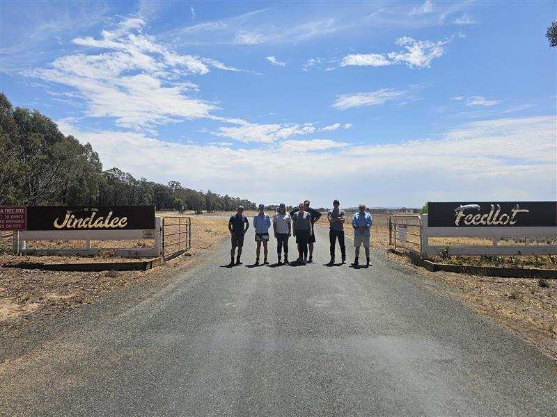 Jindalee feedlot
