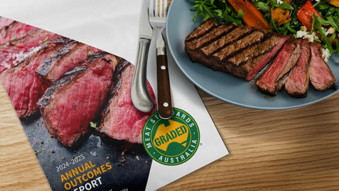 MSA Annual Outcomes Report 2024–25