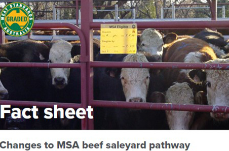 Changes to MSA beef saleyard pathway - factsheet