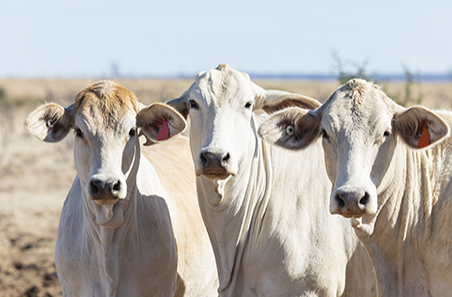 The State of Industry Report 2019