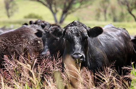 November 2023 survey results