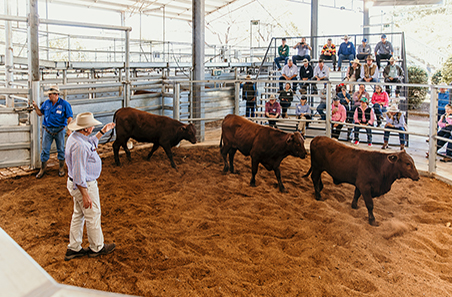 Rockhampton to host MLA’s flagship Beef and Advisor events this July
