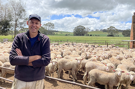 A contained solution to boost lambing and ground cover