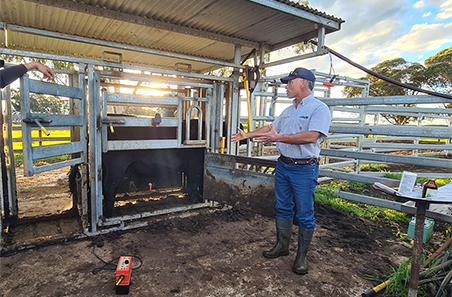 Beware of bull breakdown this sale season