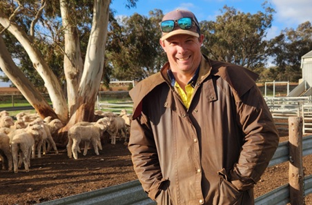 How simple eID decisions lifted lambing by 20%