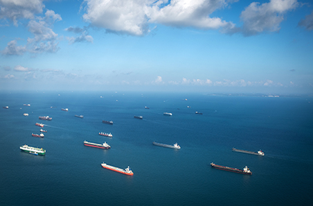 Exporting better animal welfare through the live cattle trade