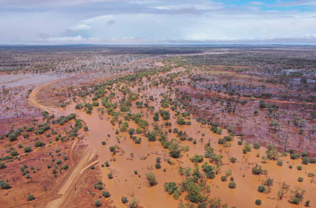 Queensland flood FAQs: Support for producers