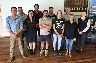 Growing beef from dairy good news for all