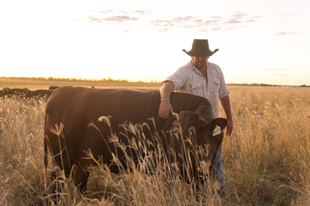 Boost productivity by tackling hidden herd losses
