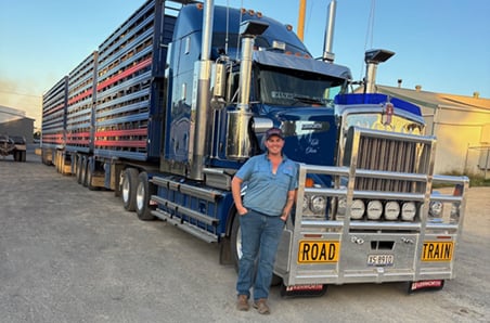 Going the distance: Why hay and penning densities are crucial in transport