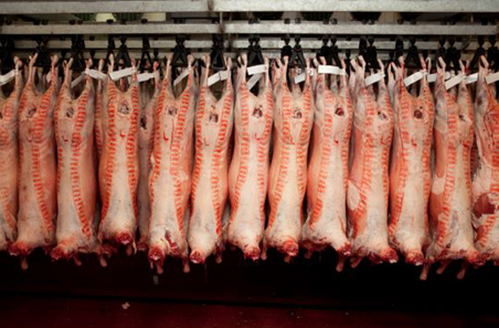 Q&A: Leading UAE importer on why Australian lamb sets the premium benchmark