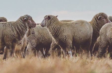 October 2024 survey results