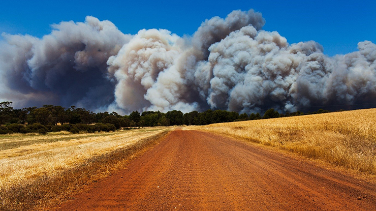 Responding to climate variability