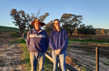 Ewe containment serves up benefits