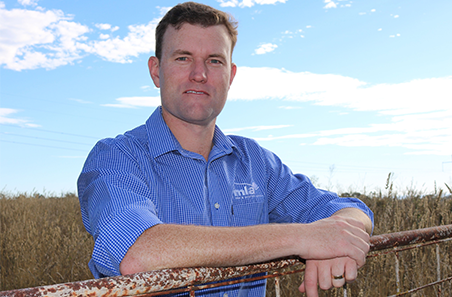 Op-ed: National Young Cattle Indicator offers complete view of nation’s restockers