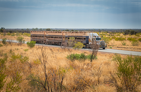 Do you know who’s responsible when transporting your livestock?