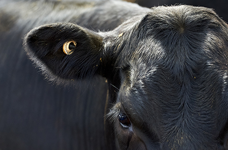 The State of Industry Report 2021