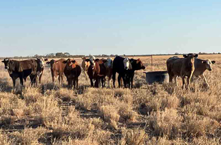 Nutrition EDGE offers great return on investment