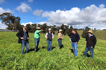 Improved pastures, improved returns