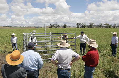 Soil, stock and carbon trifecta