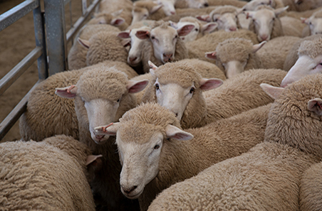 February 2025 survey Results