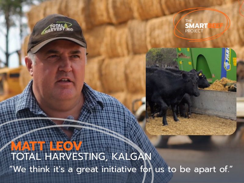 The SMARTBEEF project