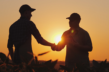 Download social media toolkit