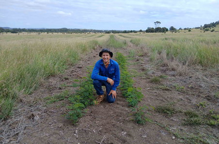 Productivity gains through pasture insights and genetics